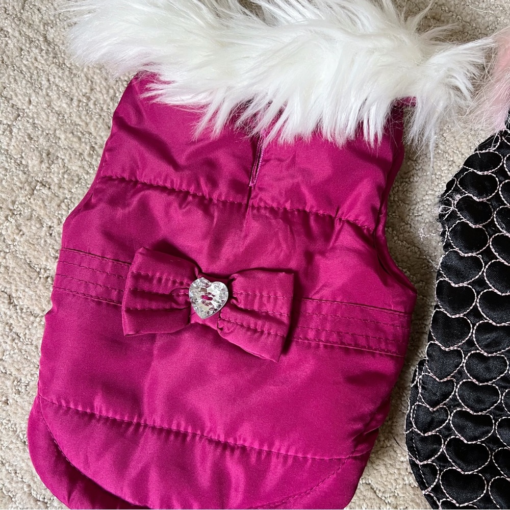 XS Dog Jackets - Picture 2 of 7